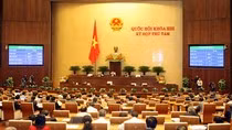 Chờ cách làm của Bộ về đổi mới chương trình, sách giáo khoa ảnh 2