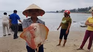 Bộ trưởng Trần Hồng Hà nói kiểm soát chặt chẽ quy trình hoạt động của Formosa ảnh 2