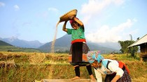 Nhiều giải pháp được đưa ra nhằm xóa đói giảm nghèo, cải thiện và nâng cao đời sống vật chất, tinh thần cho đồng bào dân tộc thiểu số rất ít người. ảnh: Báo Nhân dân. Nhiều giải pháp được đưa ra nhằm xóa đói giảm nghèo, cải thiện và nâng cao đời sống vật chất, tinh thần cho đồng bào dân tộc thiểu số rất ít người. ảnh: Báo Nhân dân.