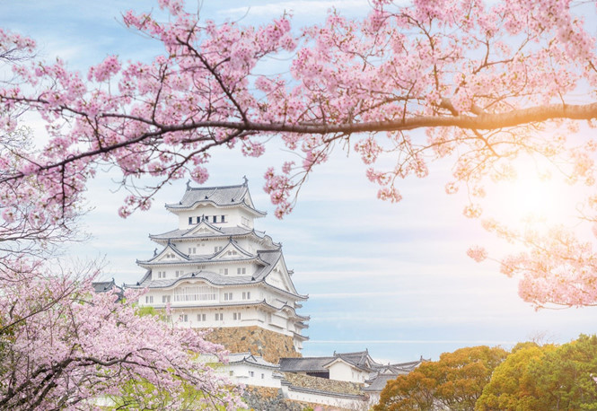 Lâu đài Osaka Lâu đài Osaka