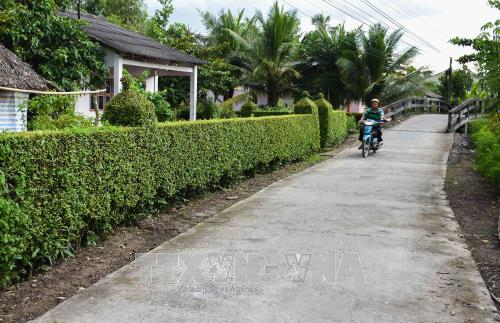 (Ảnh minh họa: Báo Tin tức)