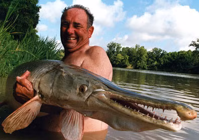 Cá sấu mõm dài Alligator Gar