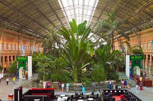 1. Vườn bách thảo trong ga tàu Atocha, Madrid Ga tàu Atocha không chỉ là ga tàu lớn nhất tại Madrid, Tây Ban Nha mà còn là một trong những ga lớn nhất trên thế giới. Điều khiến cho Atocha trở nên đặc biệt là một khu vườn nhiệt đới tuyệt đẹp rộng 4.000 mét vuông ngay bên trong ga tàu.Năm 1992, người dân địa phương đã lên ý tưởng biến nhà ga thành một khu vườn nhiệt đới thu nhỏ với hàng cọ xanh cao vươn đến tận mái nhà bằng kính của tòa trung tâm. 1. Vườn bách thảo trong ga tàu Atocha, Madrid Ga tàu Atocha không chỉ là ga tàu lớn nhất tại Madrid, Tây Ban Nha mà còn là một trong những ga lớn nhất trên thế giới. Điều khiến cho Atocha trở nên đặc biệt là một khu vườn nhiệt đới tuyệt đẹp rộng 4.000 mét vuông ngay bên trong ga tàu.Năm 1992, người dân địa phương đã lên ý tưởng biến nhà ga thành một khu vườn nhiệt đới thu nhỏ với hàng cọ xanh cao vươn đến tận mái nhà bằng kính của tòa trung tâm.