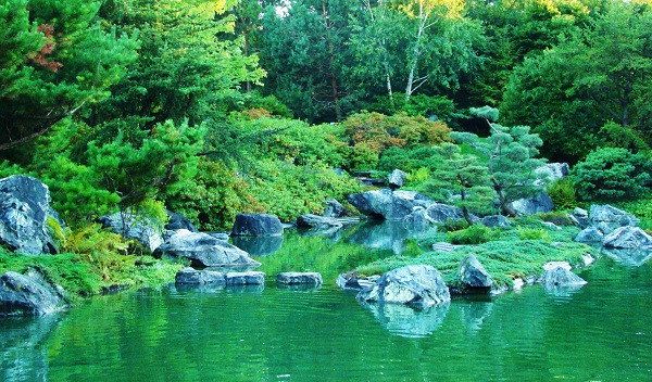 Đến với Vườn bách thảo Montreal, du khách có thể tham quan và tìm hiểu nét văn hóa đặc sắc của nhiều nơi trên thế giới. Điển hình là Vườn Trung Hoa nằm trong khuôn viên của Vườn bách thảo Montreal. Khung cảnh nơi đây được bài trí đẹp mắt và mang đậm nét Á Đông cùng rất nhiều loài cây quý hiếm xuất xứ từ Trung Hoa được trồng ở đây. Vườn Nhật Bản nằm trong Vườn bách thảo Montreal cũng có nhiều điều thú vị, thu hút du khách. Bên cạnh việc tìm hiểu các loài cây quý hiếm của Nhật Bản, du khách còn được thưởng thức các loại trà thơm ngon của lễ hội văn hóa trà đạo, được tổ chức trong suốt mùa hè. Ngoài ra, du khách còn có thể tham quan nhiều khu vườn xinh đẹp khác trong khuôn viên Vườn bách thảo Montreal: Vườn quốc gia Đệ Nhất, Vườn Anpơ, Vườn cây độc dược… với nhiều loài hoa và cây cỏ xinh tươi. Đến với Vườn bách thảo Montreal, du khách có thể tham quan và tìm hiểu nét văn hóa đặc sắc của nhiều nơi trên thế giới. Điển hình là Vườn Trung Hoa nằm trong khuôn viên của Vườn bách thảo Montreal. Khung cảnh nơi đây được bài trí đẹp mắt và mang đậm nét Á Đông cùng rất nhiều loài cây quý hiếm xuất xứ từ Trung Hoa được trồng ở đây. Vườn Nhật Bản nằm trong Vườn bách thảo Montreal cũng có nhiều điều thú vị, thu hút du khách. Bên cạnh việc tìm hiểu các loài cây quý hiếm của Nhật Bản, du khách còn được thưởng thức các loại trà thơm ngon của lễ hội văn hóa trà đạo, được tổ chức trong suốt mùa hè. Ngoài ra, du khách còn có thể tham quan nhiều khu vườn xinh đẹp khác trong khuôn viên Vườn bách thảo Montreal: Vườn quốc gia Đệ Nhất, Vườn Anpơ, Vườn cây độc dược… với nhiều loài hoa và cây cỏ xinh tươi.