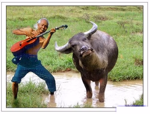 "Và mình cùng hát lên nào lời tình tha thiết..."