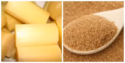 Trong sữa nên cho loại đường nào? Tốt nhất là đường mía, đường mía sau khi vào đường tiêu hóa bị tiêu hóa phân giải, biến thành glucose được cơ thể hấp thụ. Độ ngọt của glucose thấp, nhưng dùng nhiều sẽ dễ vượt quá phạm vi quy định.