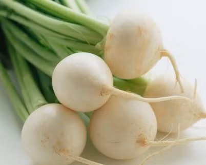 13. Củ cải: Củ cải có hiệu quả lợi tiểu rất tốt, chứa chất xơ cũng thúc đẩy bài tiện, giúp ích giảm béo. Nếu dùng củ cải với mục đích xổ độc thì thích hợp ăn sống, có thể dùng với phương thức xay ra nước cốt, trộn gỏi, món xà lách.