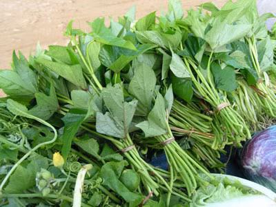 15. Lá khoai lang: Lá khoai lang chứa xơ mềm, không đắng chát, dễ có cảm giác no, lại thúc đẩy nhu động đường ruột, dự phòng táo bón.