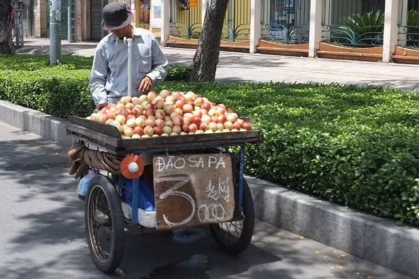Đào Trung Quốc 