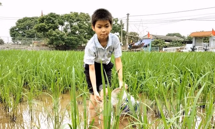 Nam sinh Nguyễn Văn Nghĩa bị đục thủy tinh thể bẩm sinh cả 2 mắt, rất cần sự hỗ trợ, giúp đỡ của các nhà hảo tâm (Ảnh: Lương Thiện)