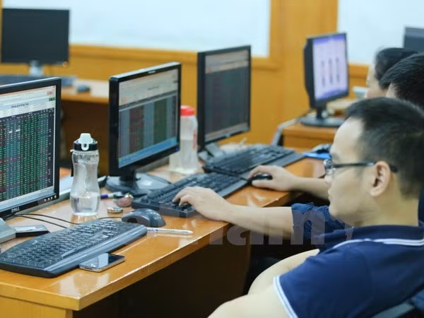 Ảnh minh họa. (Nguồn: PV/Vietnam+) Ảnh minh họa. (Nguồn: PV/Vietnam+)