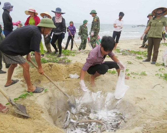 Người dân thu gom những con cá chết dạt vào bờ biển. (Nguồn: TTXVN) Người dân thu gom những con cá chết dạt vào bờ biển. (Nguồn: TTXVN)