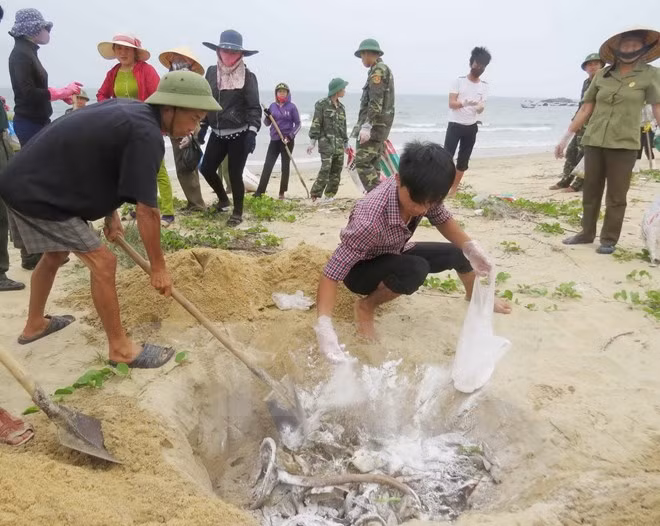 Người dân thu gom những con cá chết dạt vào bờ biển. (Nguồn: TTXVN)