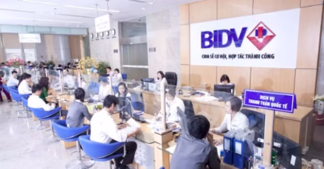 BIDV triển khai gói tín dụng 1.500 tỷ đồng hỗ trợ các đối tượng thuộc lĩnh vực sản xuất, chế biến, nuôi trồng, tiêu thụ thủy, hải sản tại 4 tỉnh ven biển miền Trung có hiện tượng cá chết hàng loạt. Ảnh minh họa. BIDV triển khai gói tín dụng 1.500 tỷ đồng hỗ trợ các đối tượng thuộc lĩnh vực sản xuất, chế biến, nuôi trồng, tiêu thụ thủy, hải sản tại 4 tỉnh ven biển miền Trung có hiện tượng cá chết hàng loạt. Ảnh minh họa.