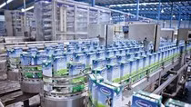SCIC thoái vốn, nên để Vinamilk “chọn mặt gửi vàng” ảnh 4