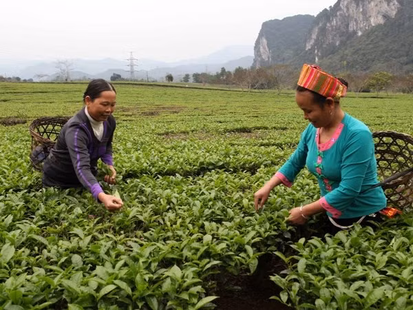 Thủ tướng yêu cầu tăng cường chính sách xã hội, nâng cao đời sống của nhân dân. ảnh: TTXVN. Thủ tướng yêu cầu tăng cường chính sách xã hội, nâng cao đời sống của nhân dân. ảnh: TTXVN.