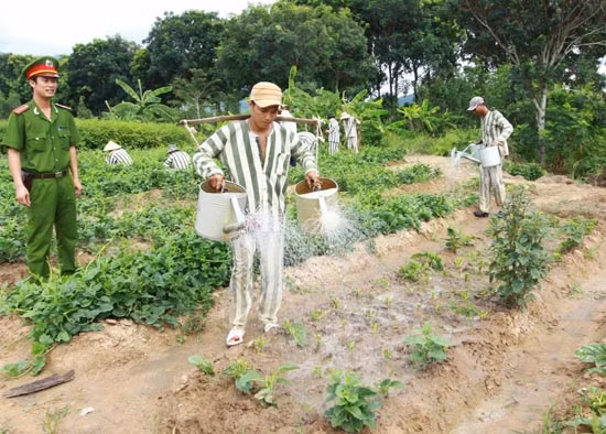 Nguồn gốc và ý nghĩa ngày Quốc tế Lao động 1/5 ảnh 2