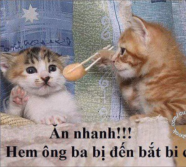 "Há miệng ra ăn nhanh, không ông ba bị đến bắt bây giờ"