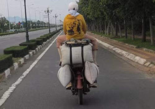 Chụp tại đường 3/2 TP Vũng Tàu. Ảnh: Đỗ Trọng Toản.