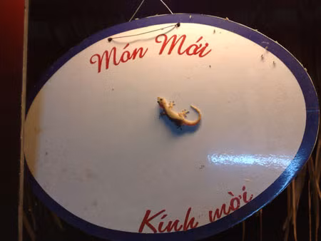 Món mới của nhà hàng. Món mới của nhà hàng.
