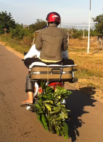 Chụp trên đường Trần Hưng Đạo, TP.Quy Nhơn. Ảnh: Thái Văn Hùng. Chụp trên đường Trần Hưng Đạo, TP.Quy Nhơn. Ảnh: Thái Văn Hùng.