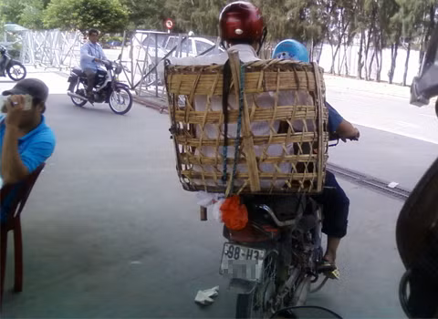 Chỗ ngồi không thoải mái. Ảnh: Vương Ngọc Linh