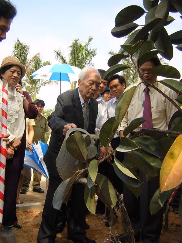"Cây đa bây giờ đã cao lớn rồi..." "Cây đa bây giờ đã cao lớn rồi..."