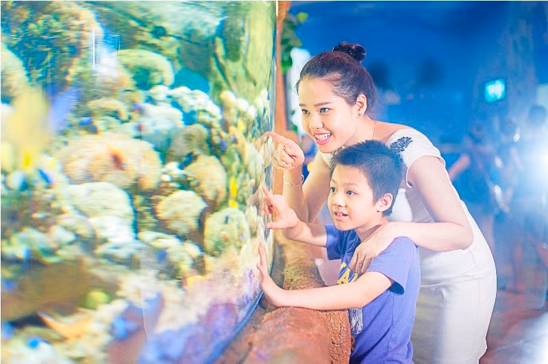 Vinpearlland Aquarium trở thành điểm đến bổ ích, nơi các thành viên trong gia đình hay các nhóm bạn cùng nhau tham quan, khám phá thể giới đại dương đầy bí ẩn.