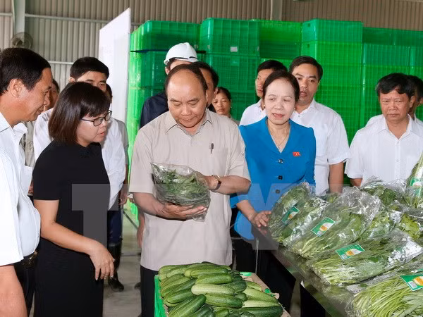 Thủ tướng Nguyễn Xuân Phúc thăm Dự án đầu tư nông nghiệp ứng dụng công nghệ cao Vineco Hải Phòng. (Ảnh: Thống Nhất/TTXVN). Thủ tướng Nguyễn Xuân Phúc thăm Dự án đầu tư nông nghiệp ứng dụng công nghệ cao Vineco Hải Phòng. (Ảnh: Thống Nhất/TTXVN).