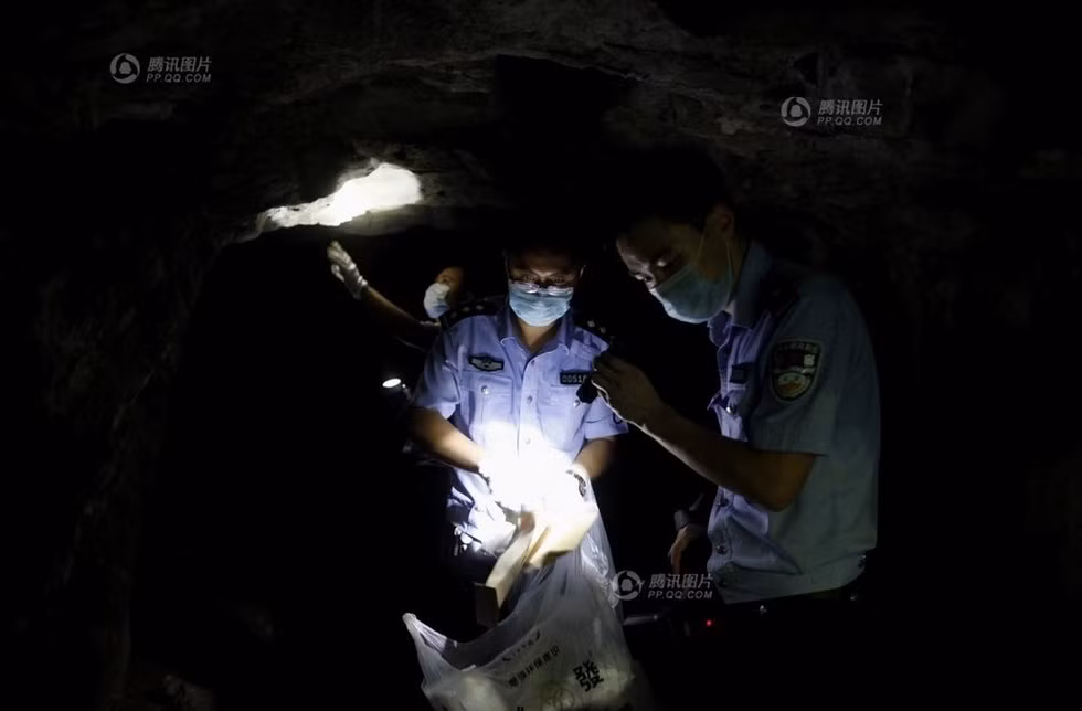 Thu thập chứng cứ Thu thập chứng cứ