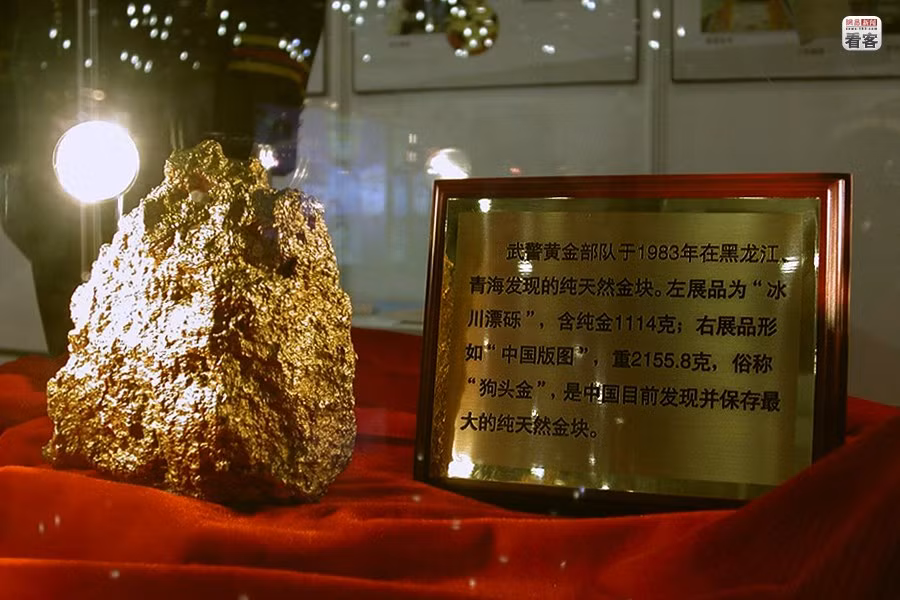 Cục vàng tự nhiên nặng 2.155,8 g lực lượng bí mật này phát hiện được năm 1983 tại Hắc Long Giang Cục vàng tự nhiên nặng 2.155,8 g lực lượng bí mật này phát hiện được năm 1983 tại Hắc Long Giang