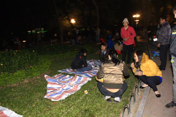 Các bãi cỏ bị dày xéo