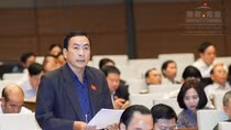Sẽ có tỉnh không còn Sở Giáo dục ảnh 3