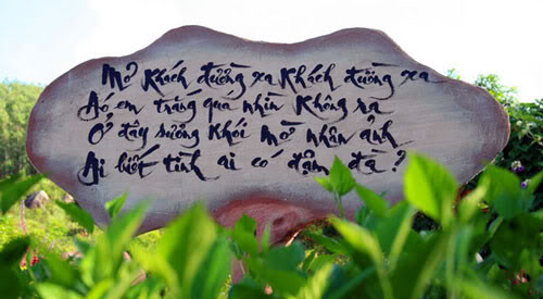 Đọc thơ và hiểu thơ