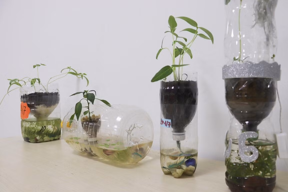 Một sản phẩm tận dụng rác thải nhựa để chế tạo ra các chậu trồng cây cảnh của học sinh Sky-Line. Ảnh: GH