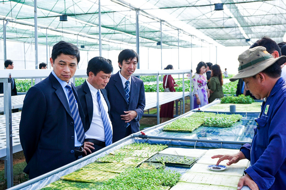 Đoàn lãnh đạo tỉnh Bình Định tới tham quan vườn ươm công nghệ cao của Trường Đại học Tôn Đức Thắng, tìm kiểm các cơ hội hợp tác chuyển giao công nghệ cho địa phương. Ảnh do Phó giáo sư Phạm Thanh Phong cung cấp. Đoàn lãnh đạo tỉnh Bình Định tới tham quan vườn ươm công nghệ cao của Trường Đại học Tôn Đức Thắng, tìm kiểm các cơ hội hợp tác chuyển giao công nghệ cho địa phương. Ảnh do Phó giáo sư Phạm Thanh Phong cung cấp.