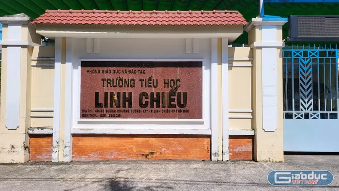 gdvn-thlinhchieu.jpg