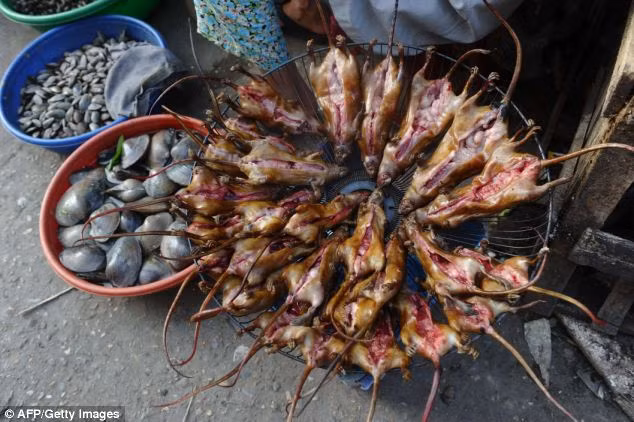 Chuột được coi là món "đặc sản" tại một số vùng.