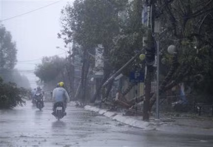 Cây bị quật đổ tại trung tâm thành phố Đà Nẵng. Cây bị quật đổ tại trung tâm thành phố Đà Nẵng.