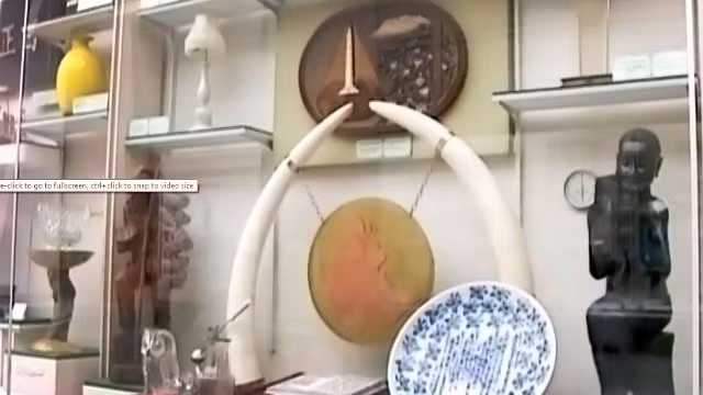 Những món quà tặng từ cao cấp tới bình dân trong nhà triển lãm.