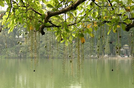 Theo dự báo, đợt không khí lạnh này tại Bắc bộ sẽ chấm dứt vào ngày mai. Ảnh minh họa: Internet.