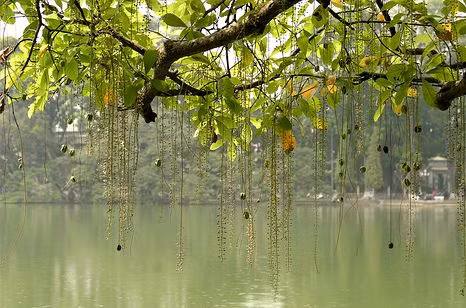 Theo dự báo, đợt không khí lạnh này tại Bắc bộ sẽ chấm dứt vào ngày mai. Ảnh minh họa: Internet.