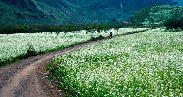 Dọc khắp quốc lộ 6, đoạn từ Mai Châu lên thị trấn Mộc Châu, nơi nào bạn cũng có thể dừng chân để cắm trại, picnic hay vui đùa chụp ảnh. Ảnh: TTO. Dọc khắp quốc lộ 6, đoạn từ Mai Châu lên thị trấn Mộc Châu, nơi nào bạn cũng có thể dừng chân để cắm trại, picnic hay vui đùa chụp ảnh. Ảnh: TTO.