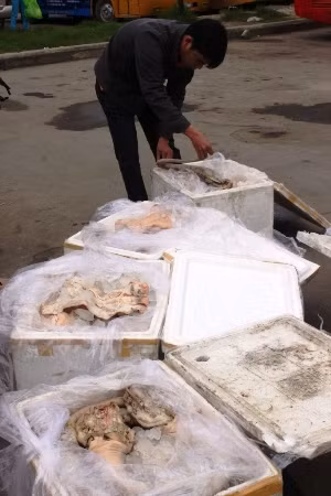 Cơ quan chức năng kiểm tra số hàng. Ảnh: Nguyễn Huy. Cơ quan chức năng kiểm tra số hàng. Ảnh: Nguyễn Huy.