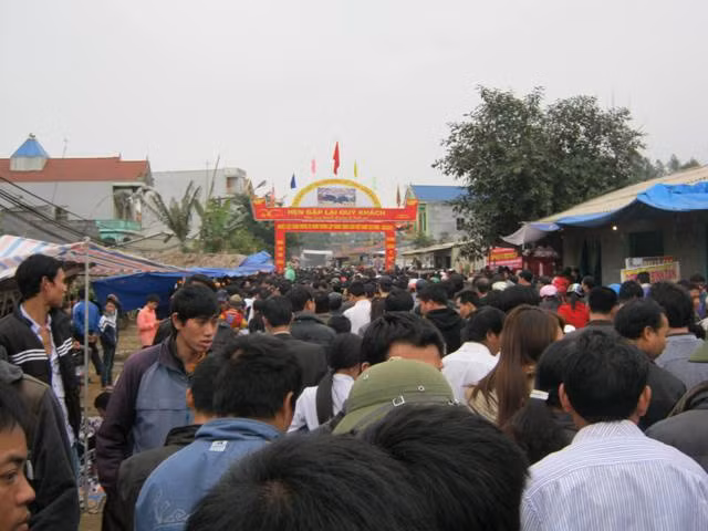 Ước tính hội chọi trâu Hải Lựu thu hút khoảng 5 vạn lượt du khách thập phương đến dự Ước tính hội chọi trâu Hải Lựu thu hút khoảng 5 vạn lượt du khách thập phương đến dự