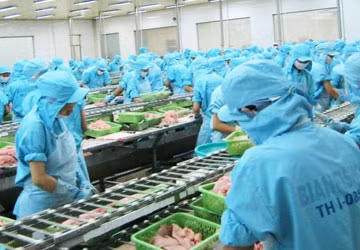 Công nhân của Công ty Bình An hy vọng sớm quay lại làm việc. Trong ảnh: Công nhân của Bình An thời “hoàng kim”. Ảnh: GIA TUỆ