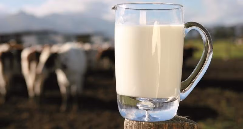 Công thức TH School Milk có gì đặc biệt? ảnh 4