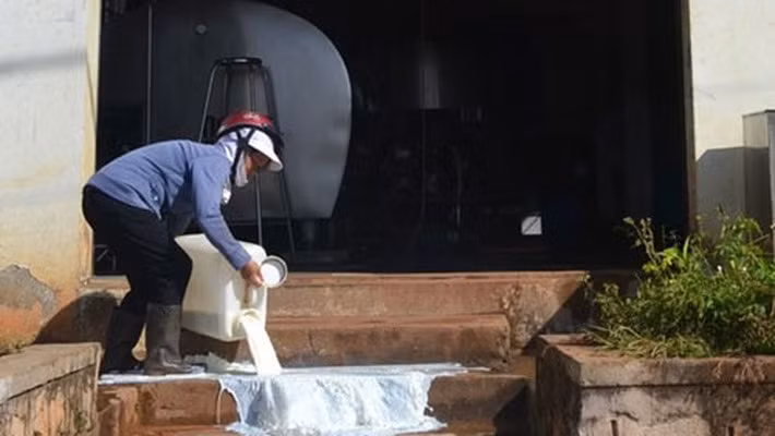 Bi kịch nông dân nuôi bò sữa phải đổ sữa có thể lặp lại, nếu như chuyện nhập nhằng giữa sữa tươi với sữa bột pha lại vẫn còn tiếp tục, ảnh: Báo VnEconomy.