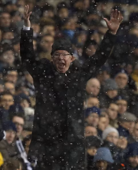 Sir Alex nổi đóa với trọng tài.
