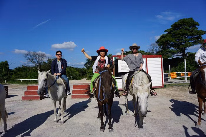 Du khách Vietravel hào hứng trước trải nghiệm cưỡi ngựa tại đảo Jeju.
